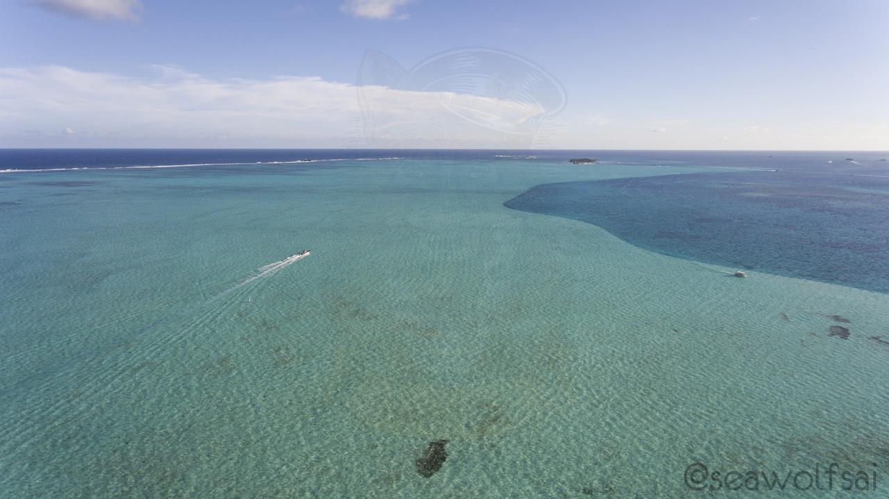 Sea Wolf Apartments San Andrés Exteriér fotografie